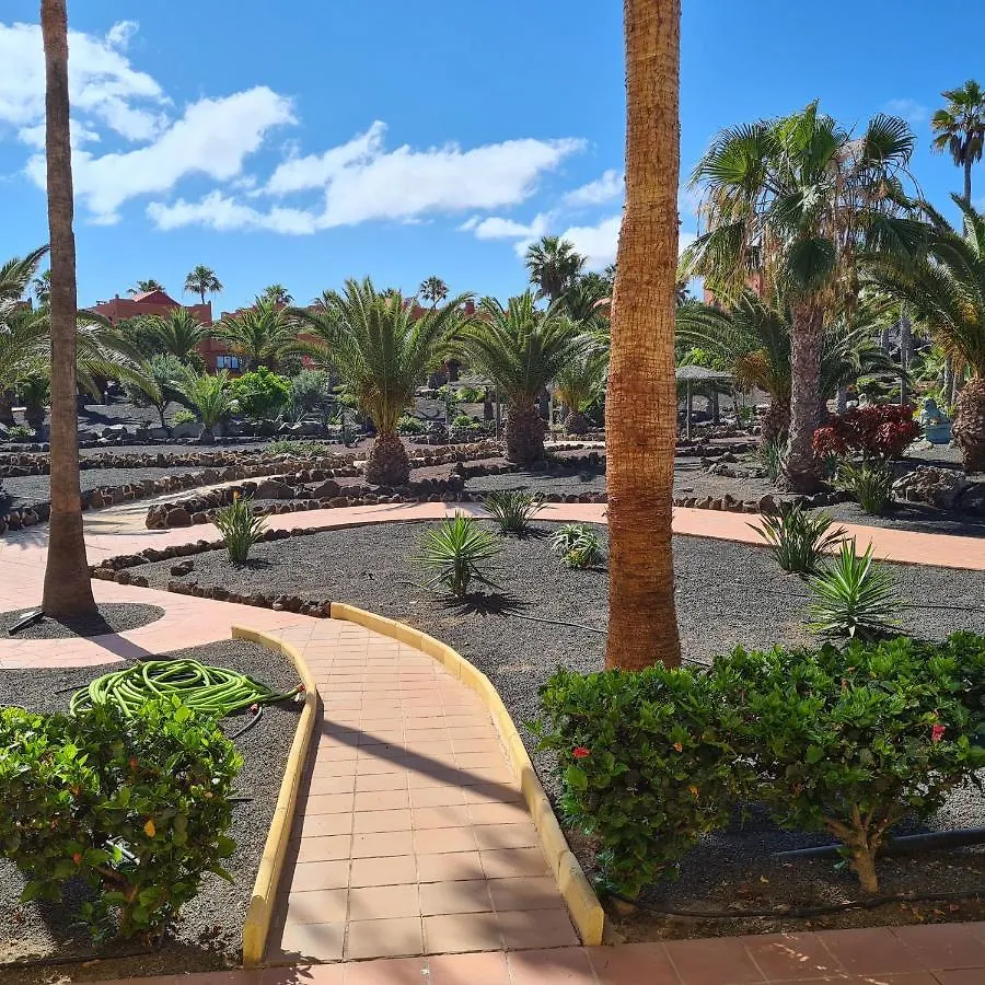 Oasis Royal F217 Appartement Corralejo Spanje