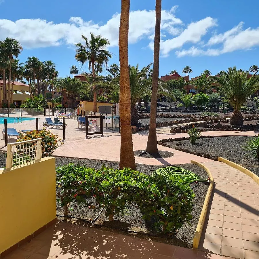 Oasis Royal F217 Appartement Corralejo